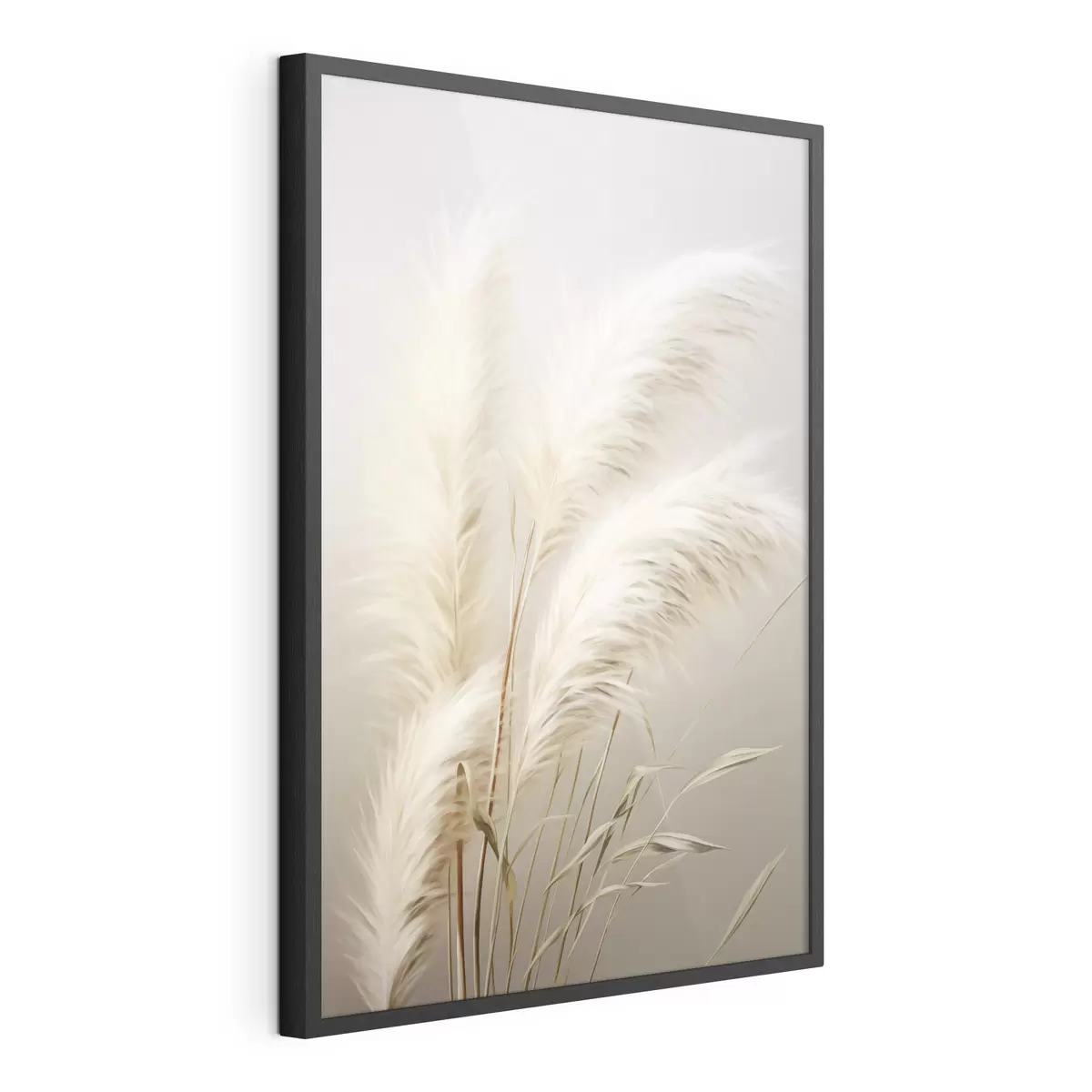 Poster Varias plantas altas de hierba de la pampa, con hojas largas y delgadas f48724