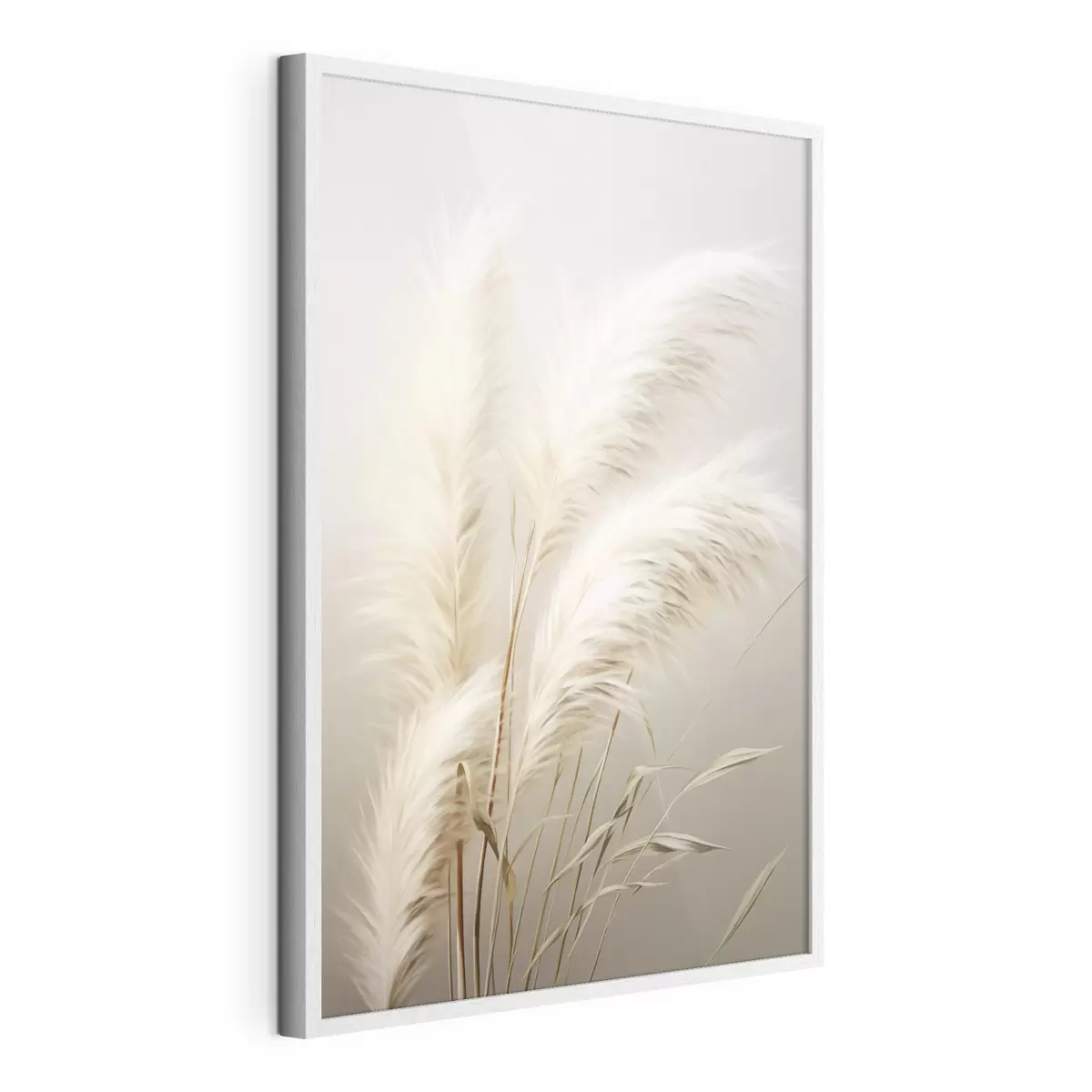 Poster Varias plantas altas de hierba de la pampa, con hojas largas y delgadas f48724
