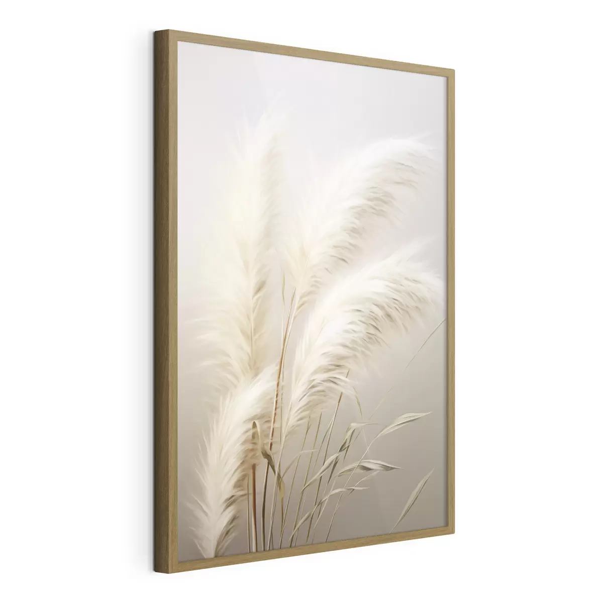 Poster Varias plantas altas de hierba de la pampa, con hojas largas y delgadas f48724