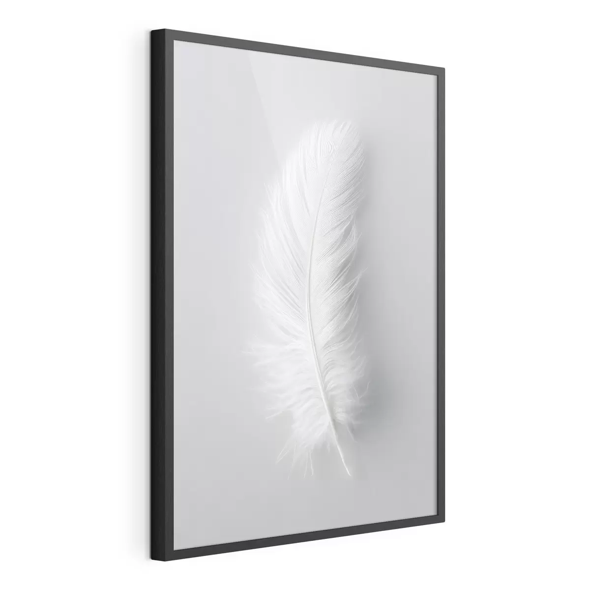 Poster una elegante pluma de cisne f48782