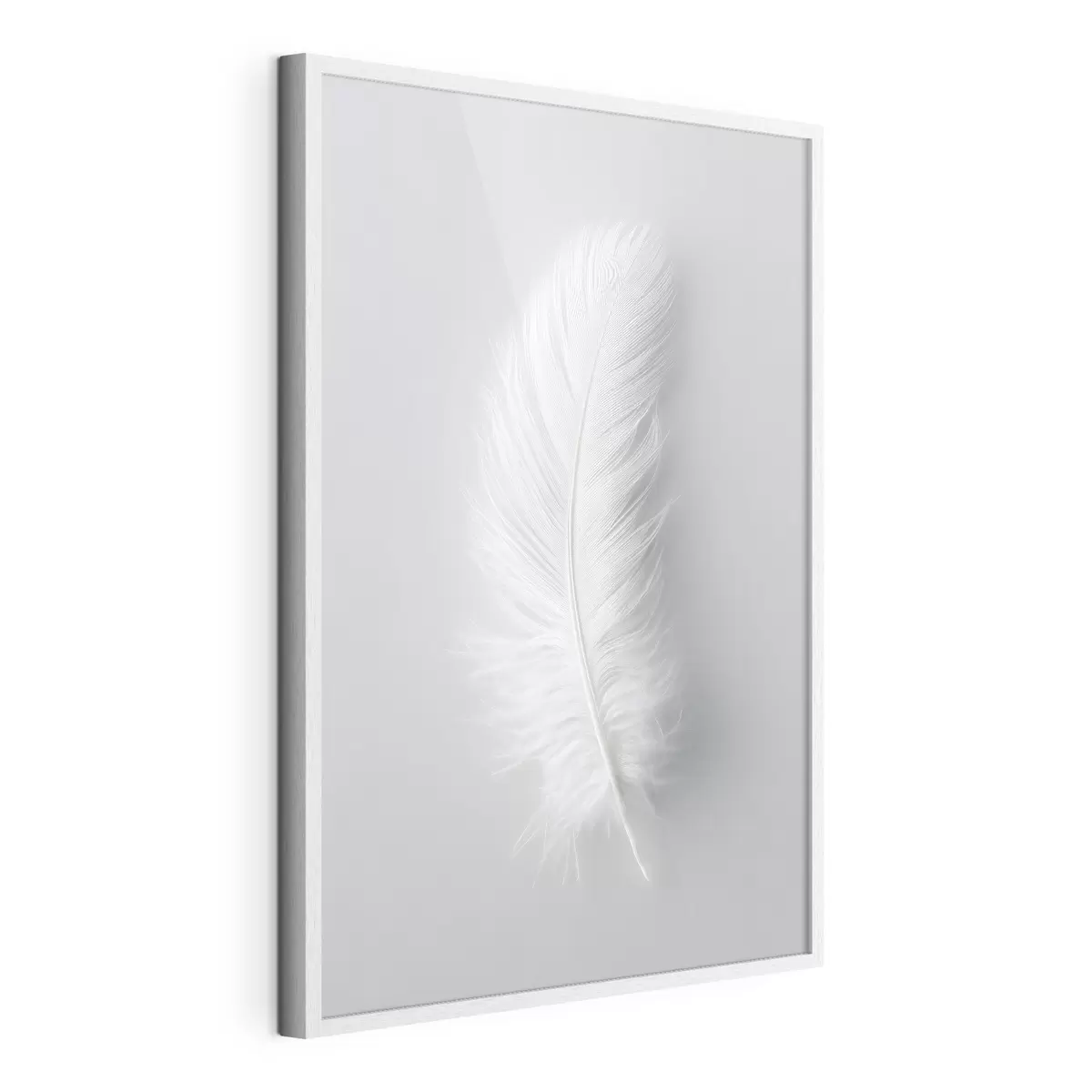 Poster una elegante pluma de cisne f48782