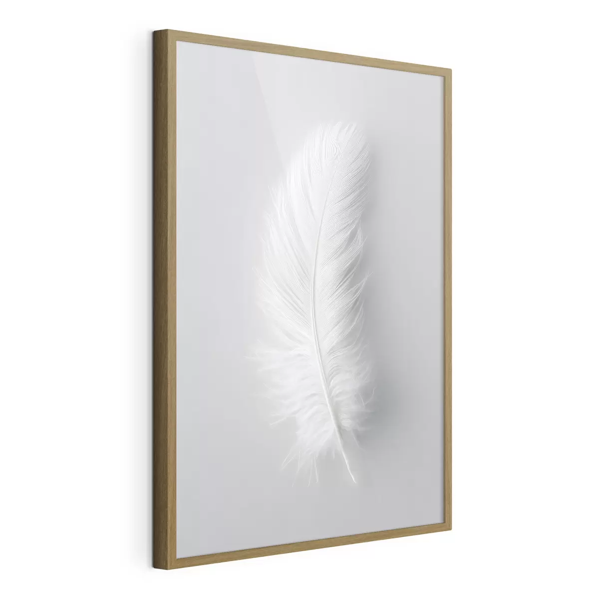 Poster una elegante pluma de cisne f48782