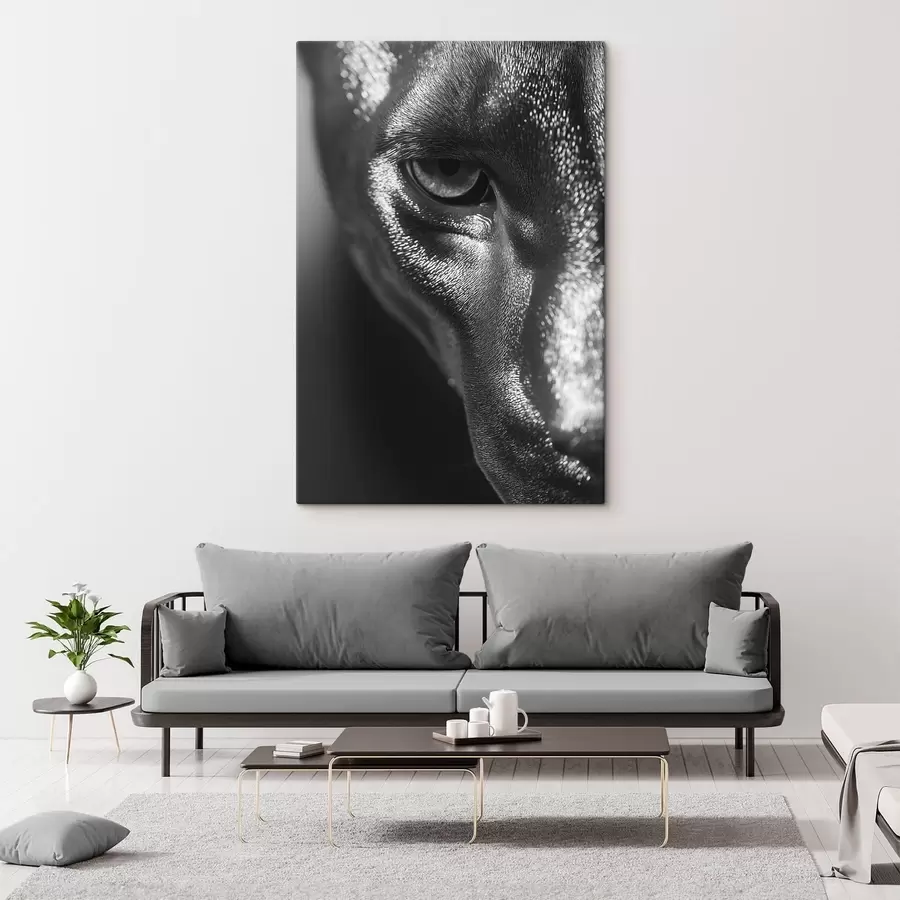 murales de pared Mirada plateada s49334