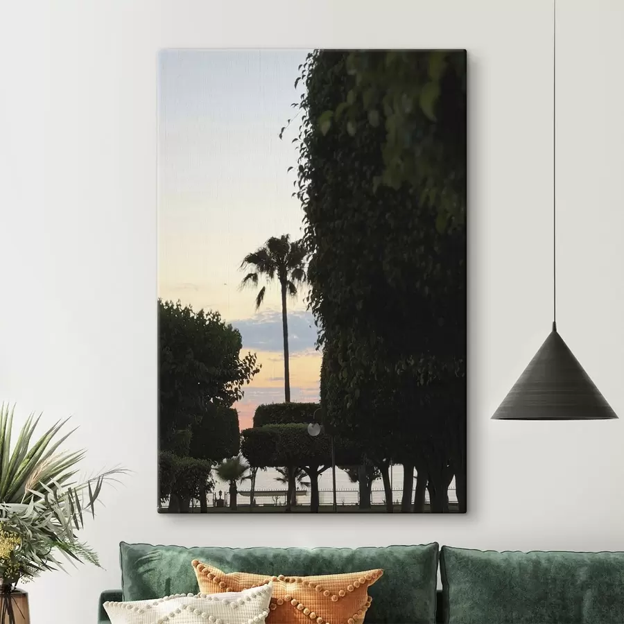 murales de pared Una palmera en un parque ajardinado al atardecer s49697