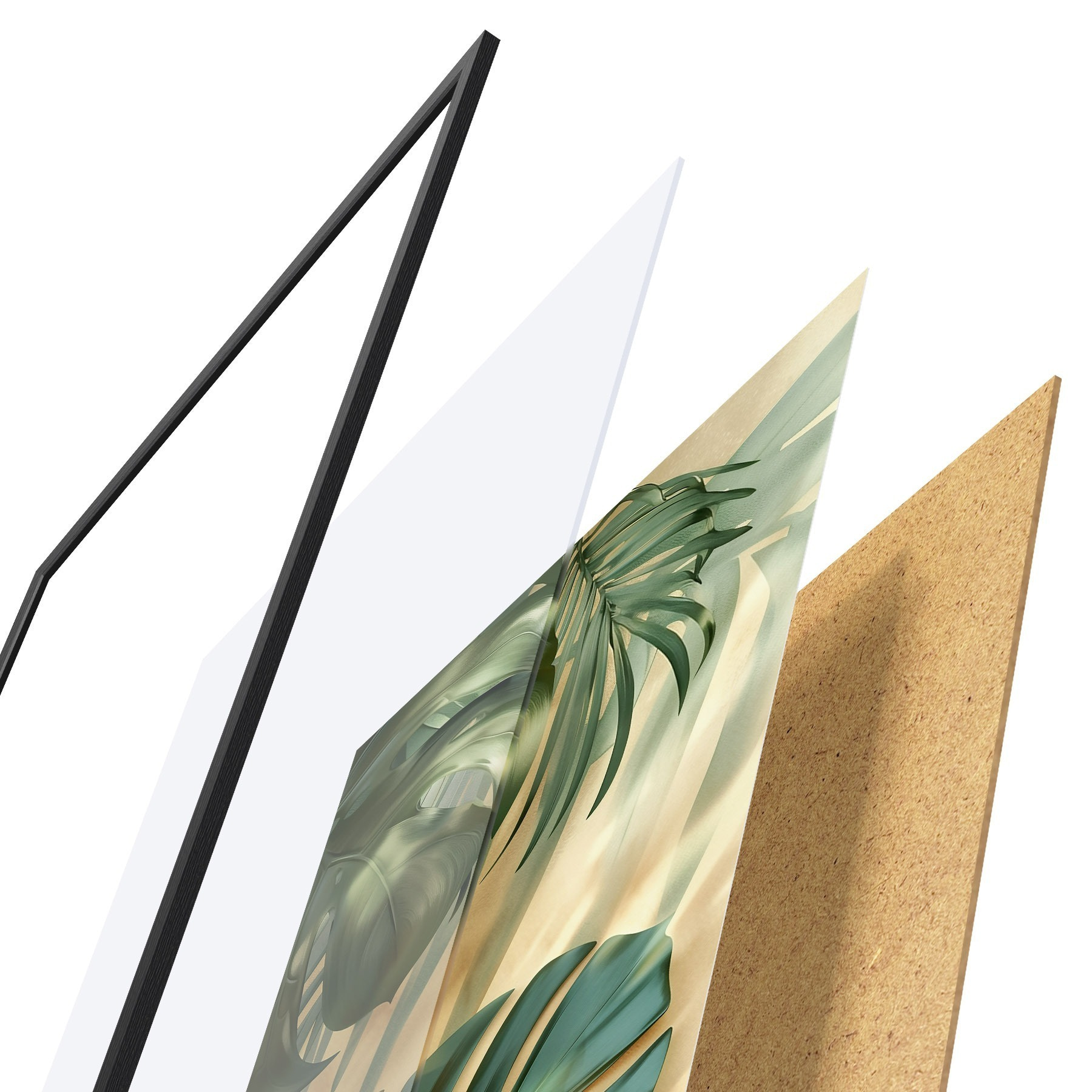 Poster Monstera y hojas tropicales f49552