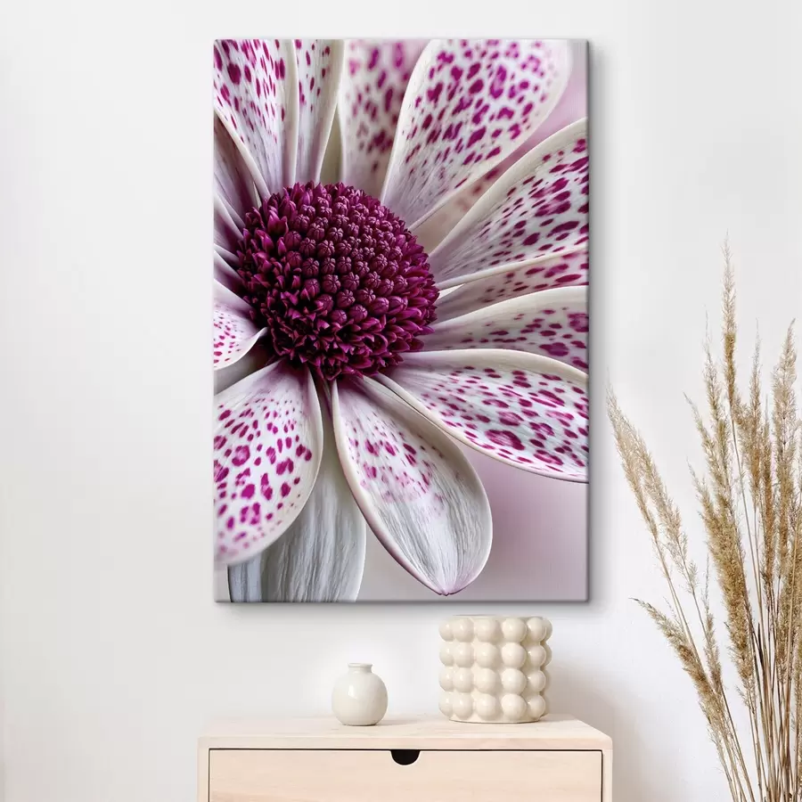 murales de pared Primer plano de una flor parecida a una margarita con manchas de leopardo de un magenta intenso s49865