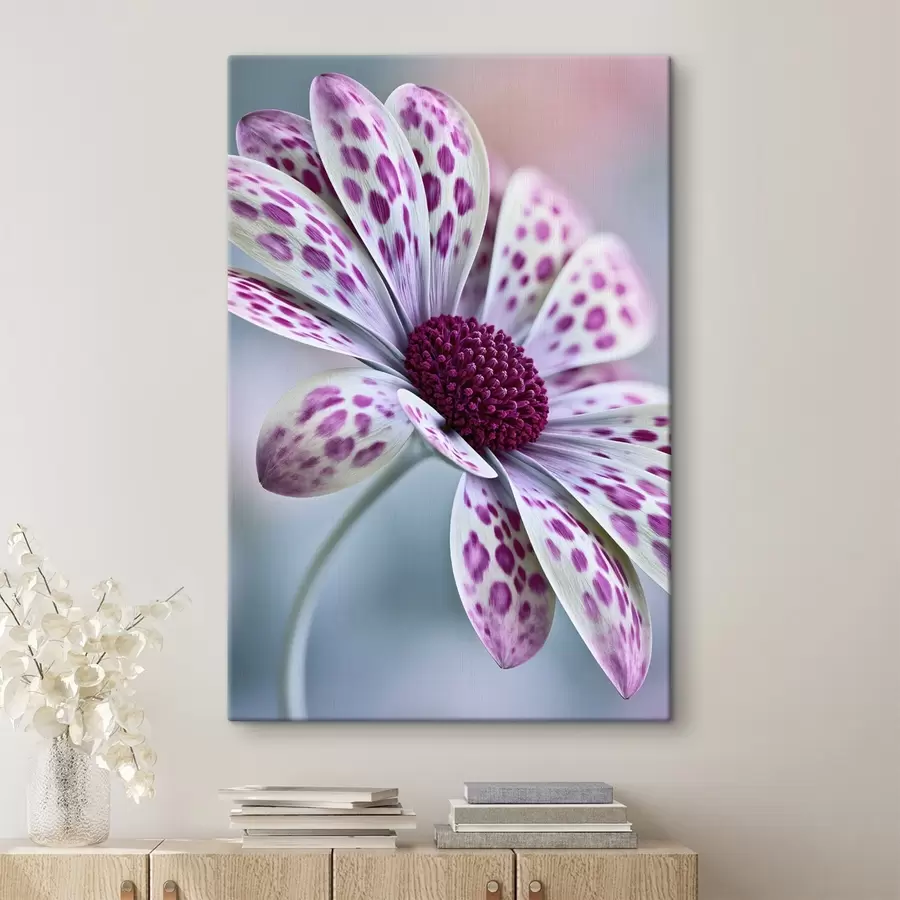 murales de pared Flor parecida a una margarita con manchas de leopardo de un magenta intenso s49866