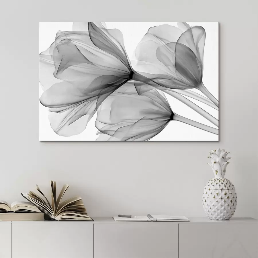 murales de pared Tulipanes en blanco y negro con un estilo de radiografía s49892