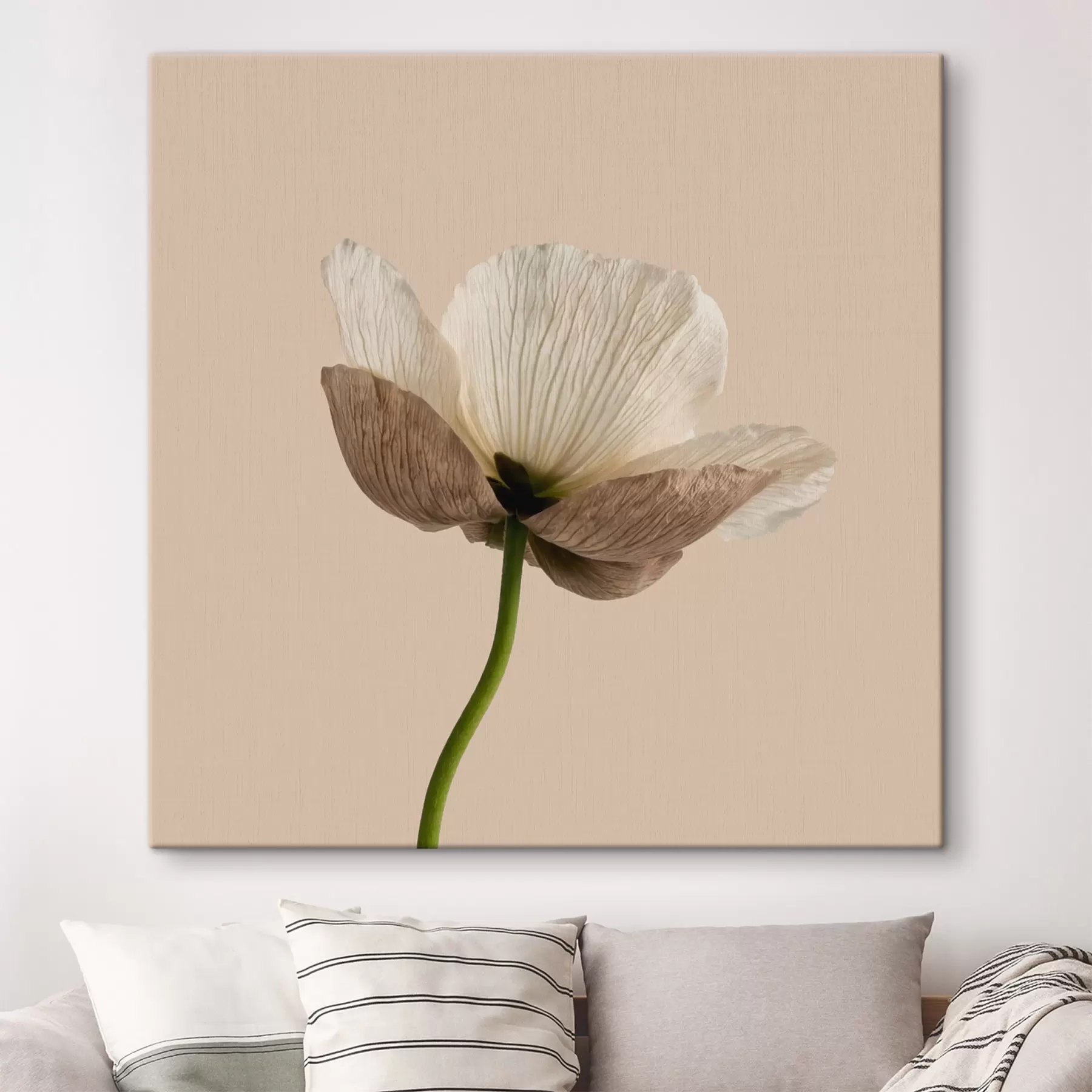 murales de pared Delicada flor con pétalos translúcidos sobre un fondo beige, en estilo minimalista s49718
