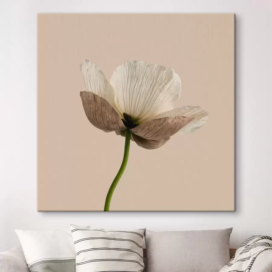 murales de pared Delicada flor con pétalos translúcidos sobre un fondo beige, en estilo minimalista s49718