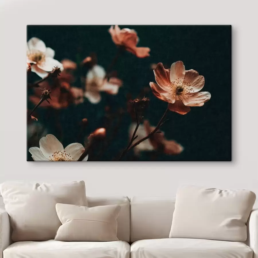 murales de pared Flores de tonos cálidos sobre un fondo oscuro s50578