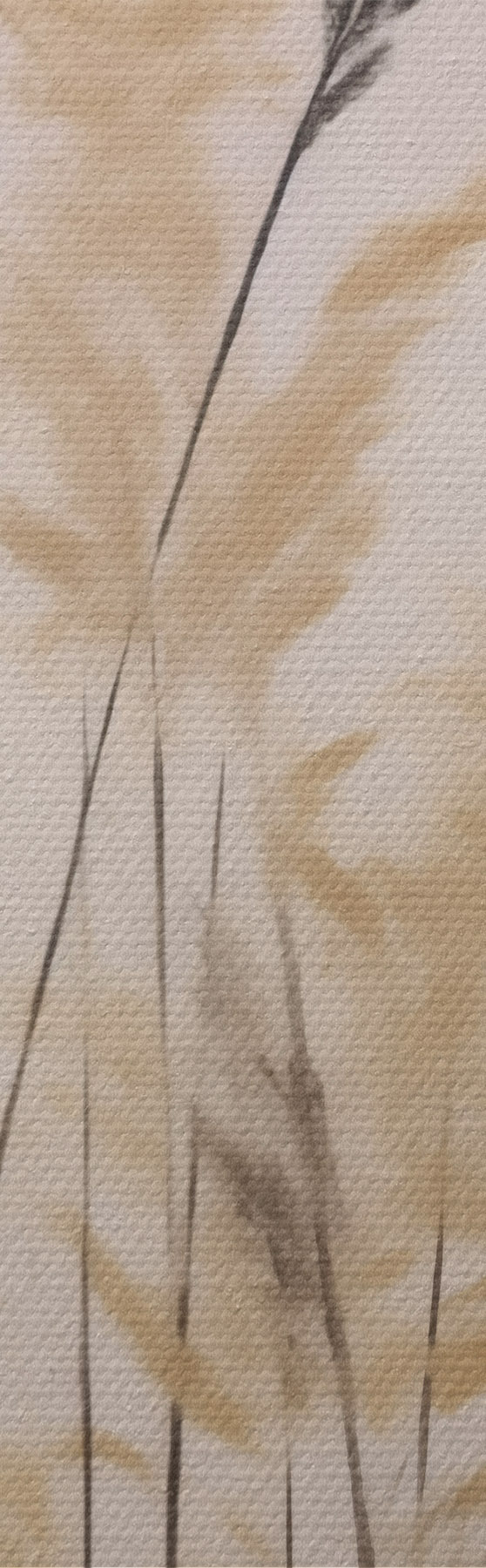 murales de pared Hierbas abstractas con la luna de fondo, imitación de un cuadro s50985
