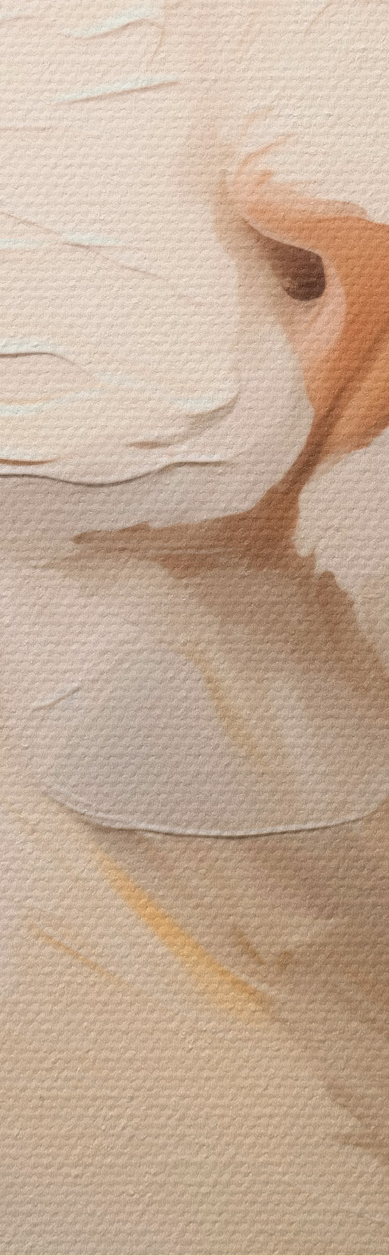 murales de pared Gato, pintura de imitación m31063