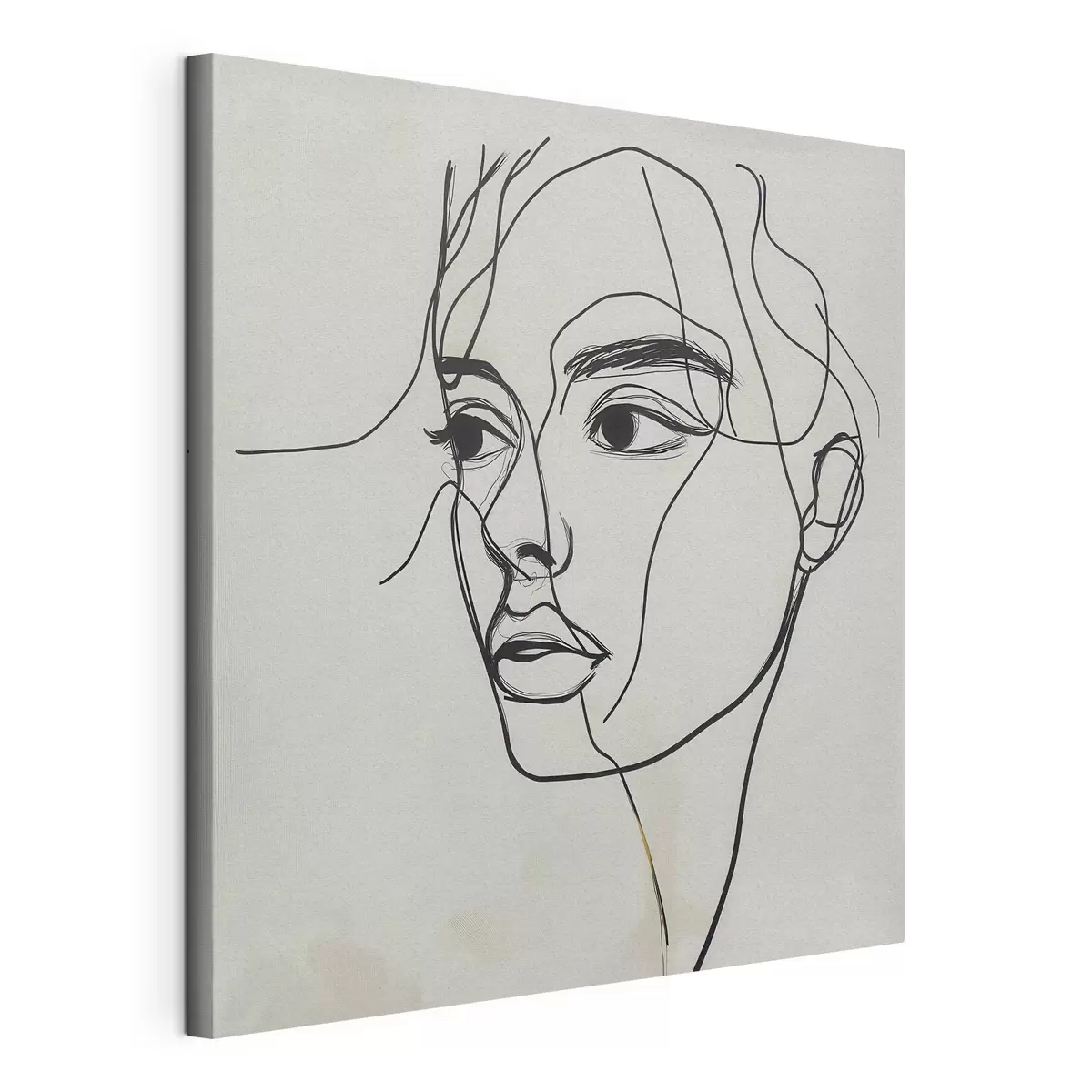 murales de pared Retrato lineal de un rostro s51002