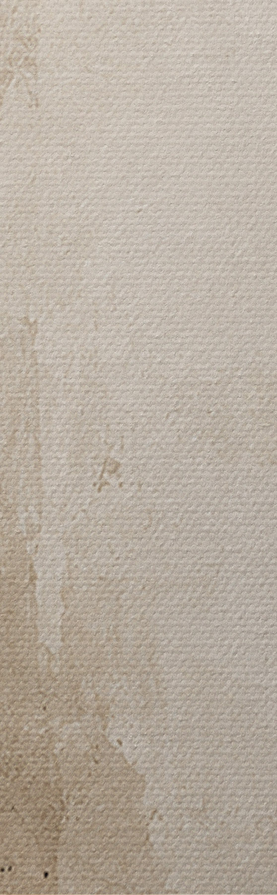 murales de pared Círculo Zen s50724