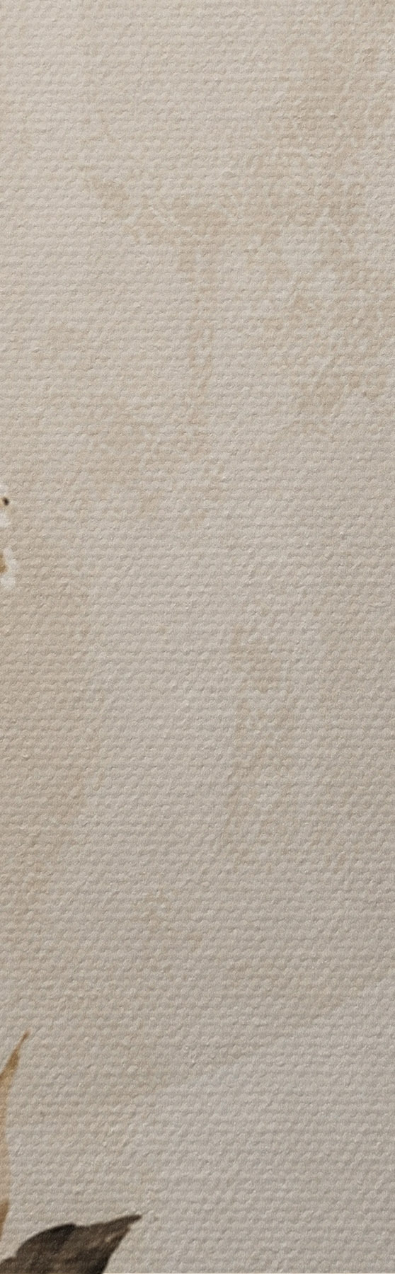 murales de pared Elegancia discreta s50725