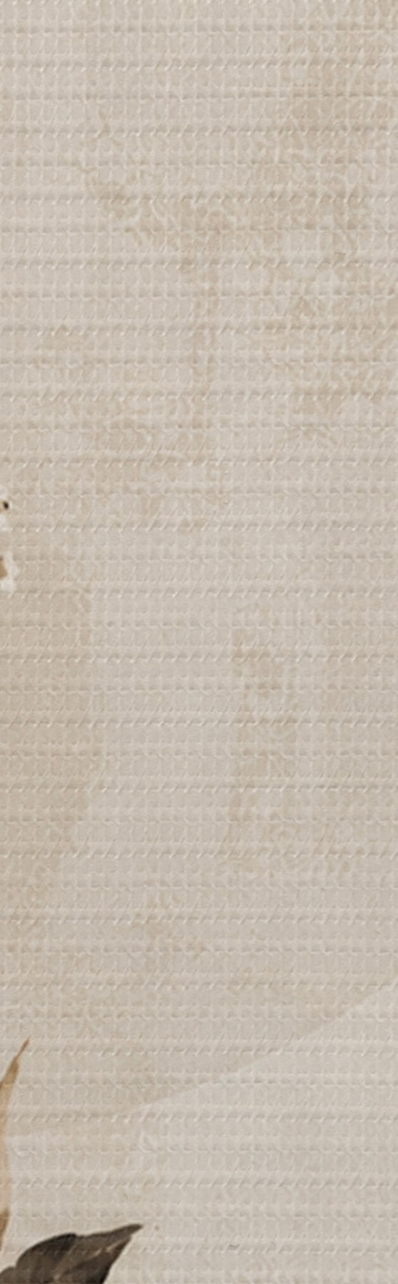 murales de pared Elegancia discreta s50725