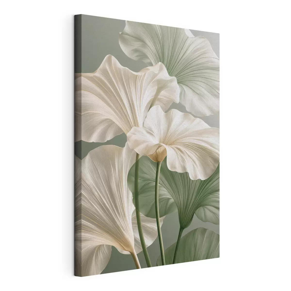 murales de pared Hojas delicadas s50868
