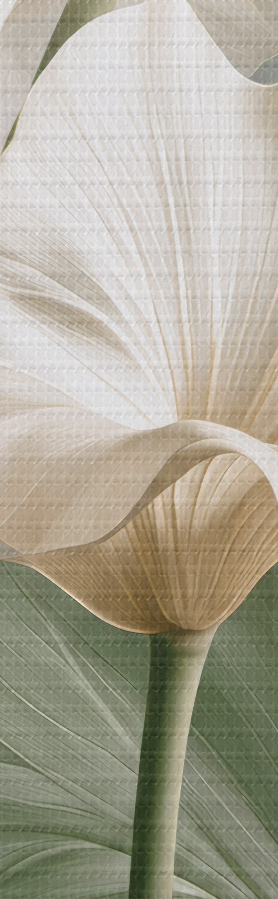 murales de pared Hojas delicadas s50868