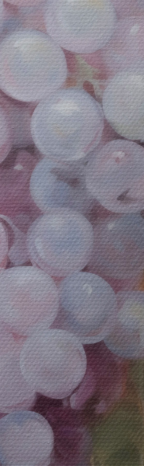 murales de pared Uvas, imitación de un cuadro s51124