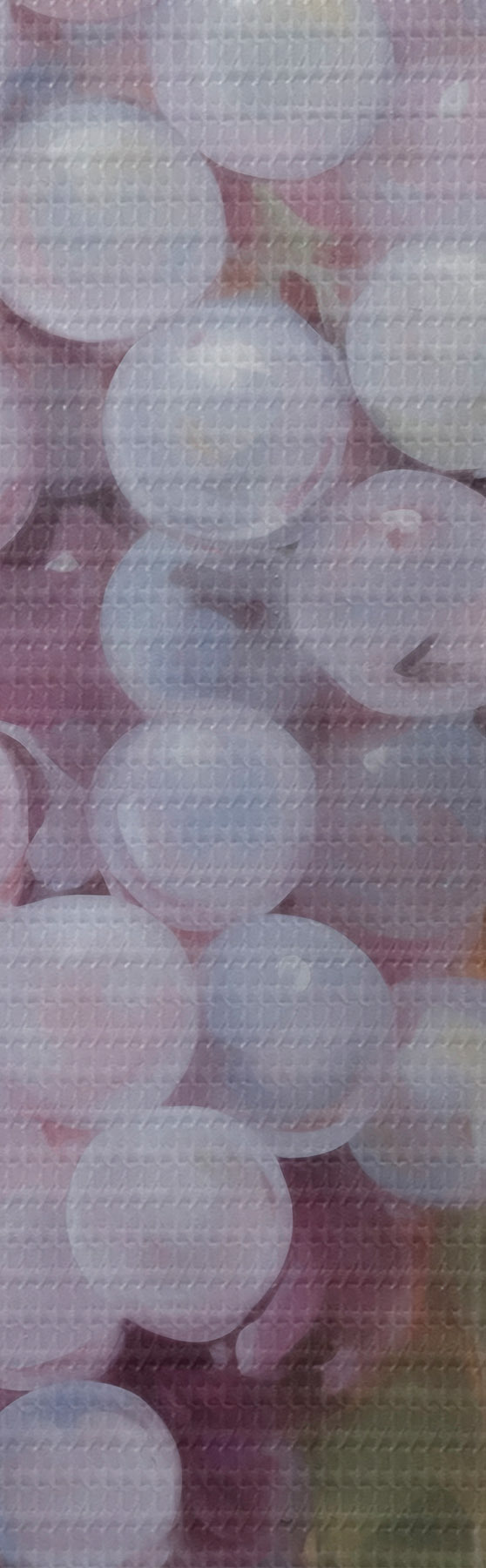 murales de pared Uvas, imitación de un cuadro s51124