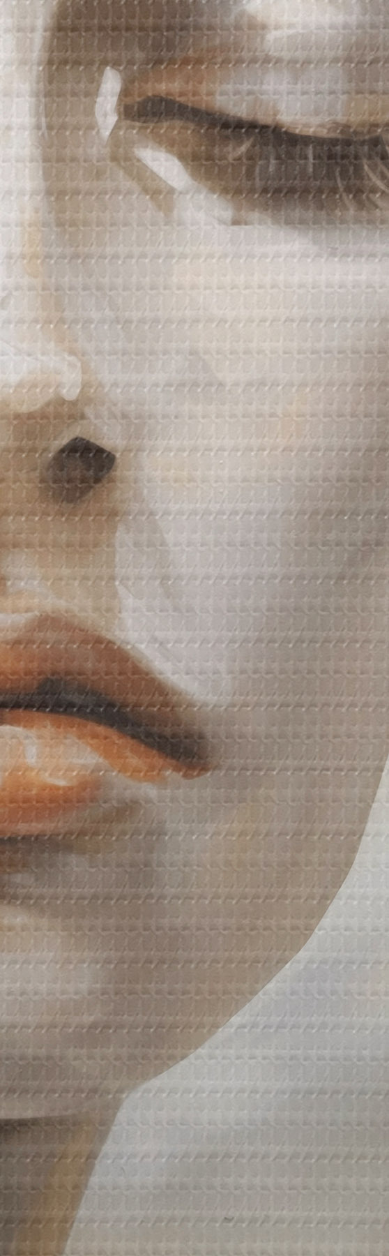 murales de pared Retrato abstracto, imitación de un cuadro s51129