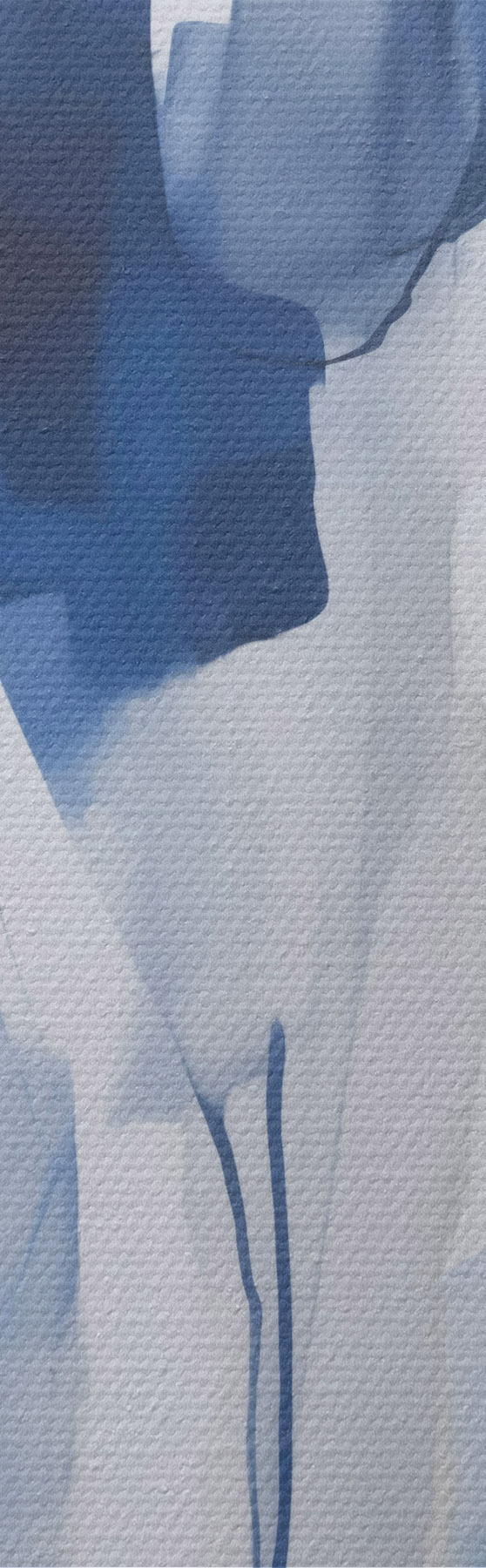murales de pared Siluetas, imitación de la pintura s51132