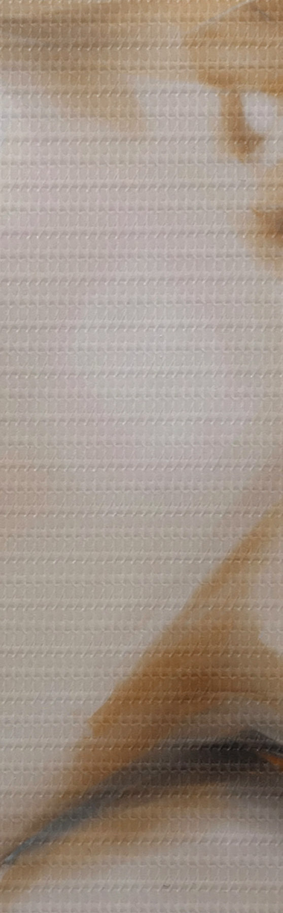 murales de pared Retrato de una niña con los ojos cerrados s51133