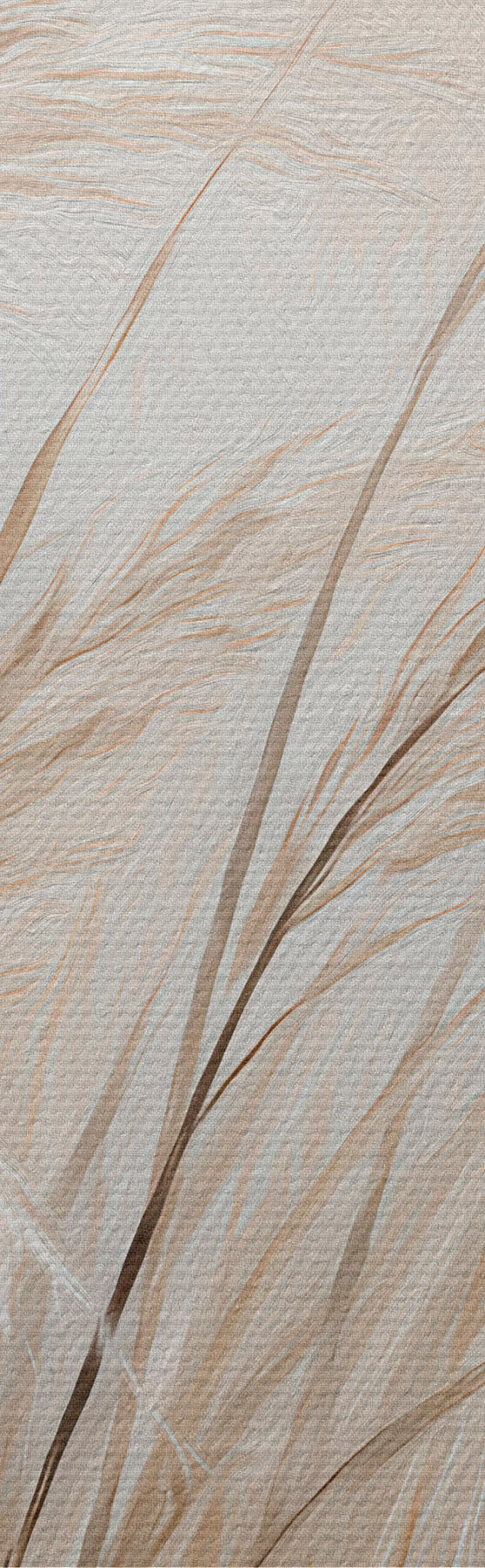 murales de pared Espigas de trigo s51045