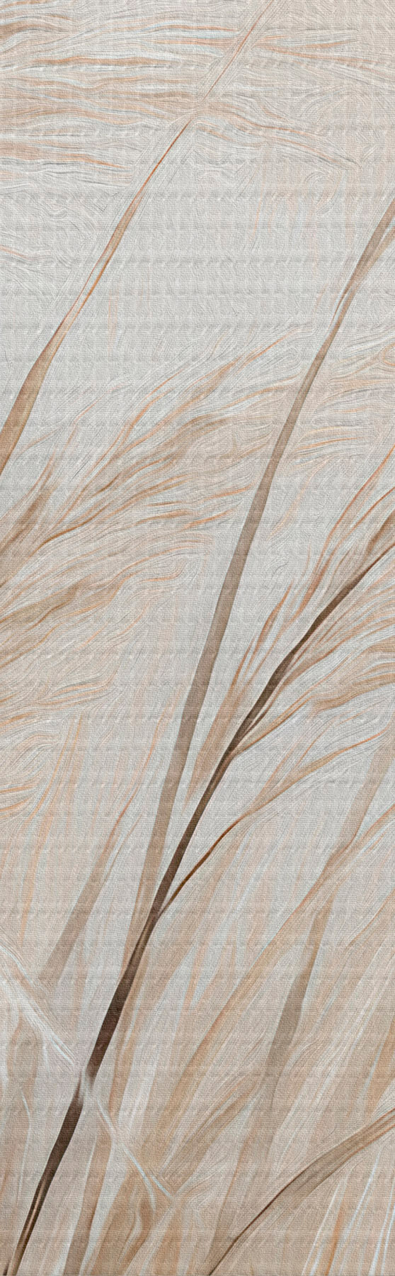 murales de pared Espigas de trigo s51045