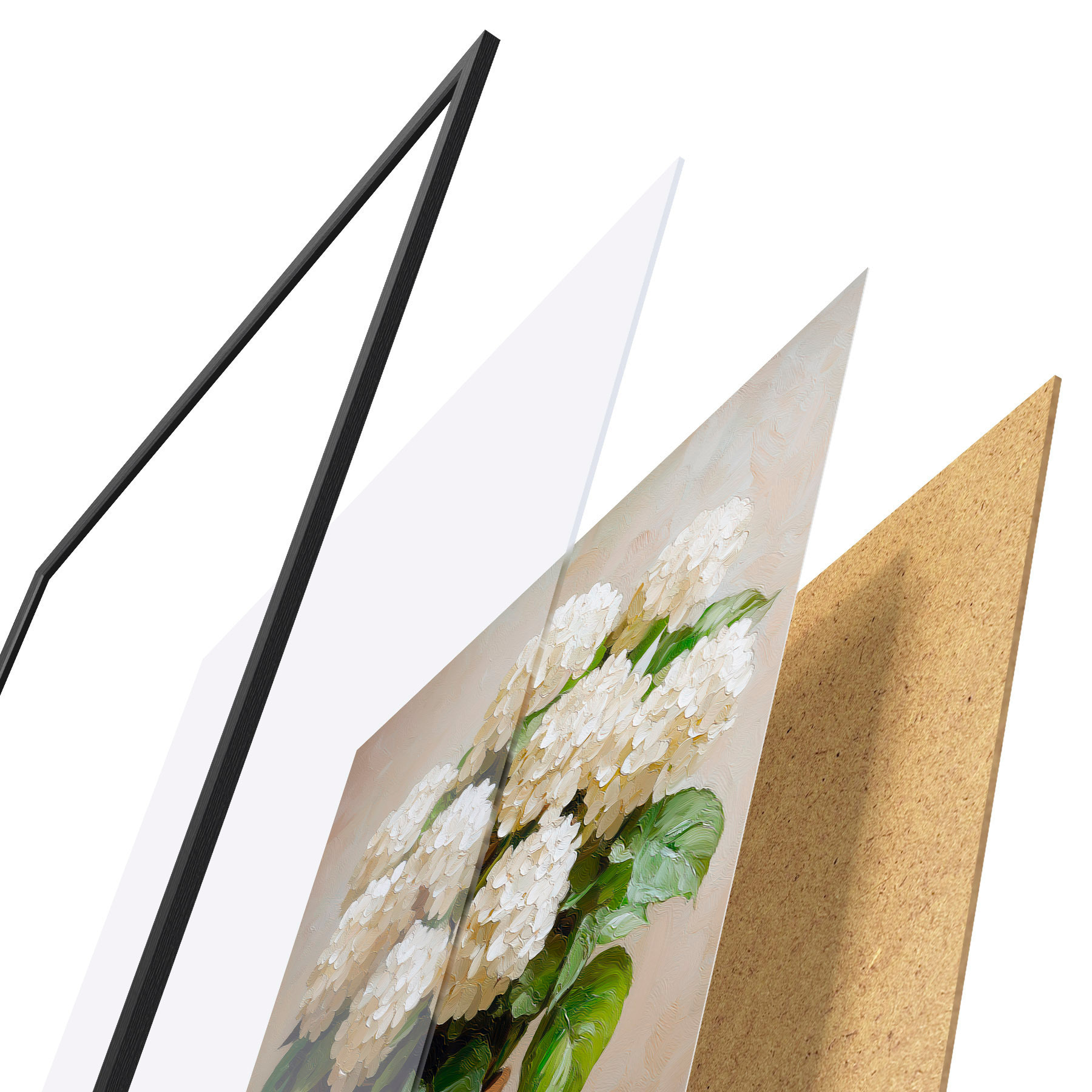 Poster hortensias blancas f51062