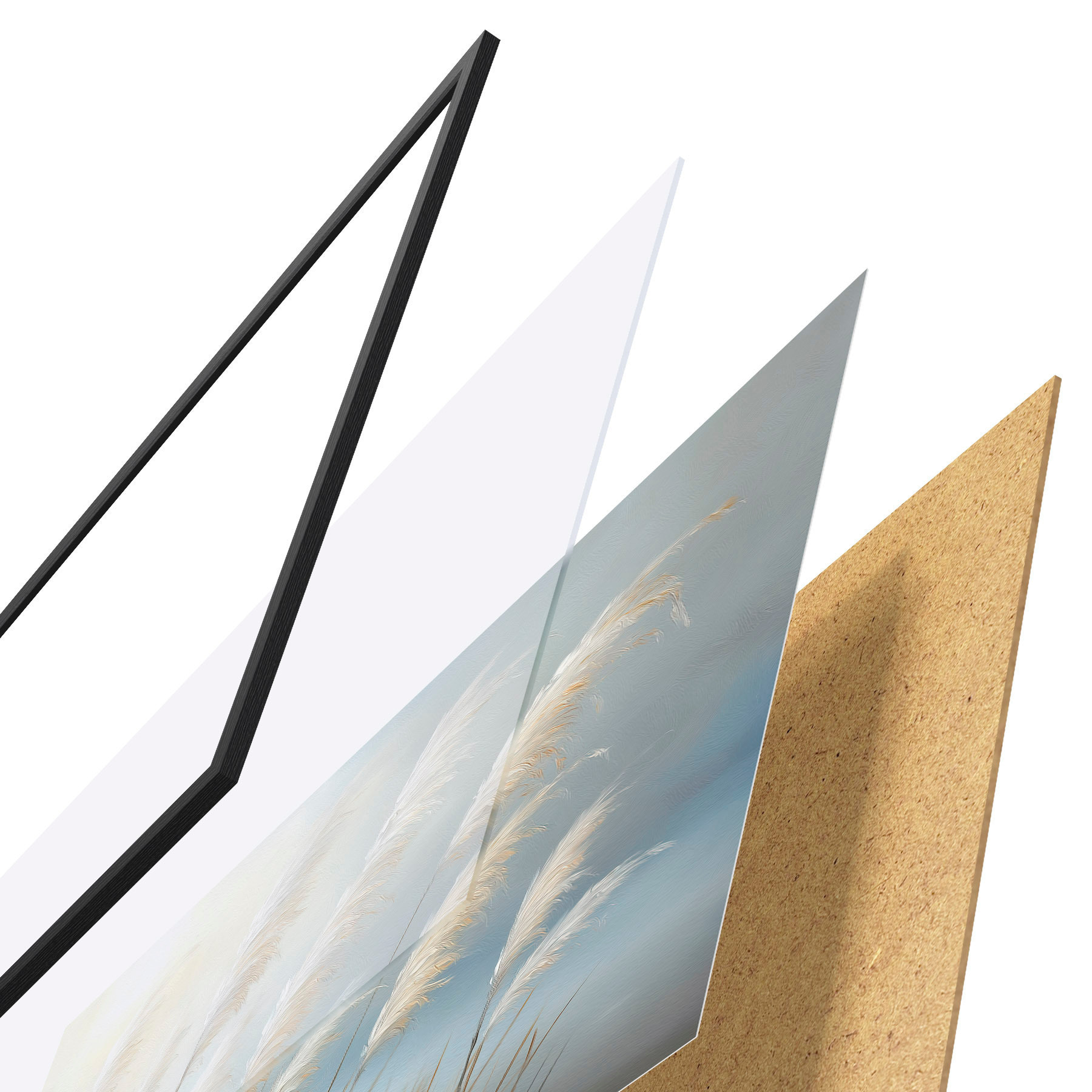 Poster Cañas f51071
