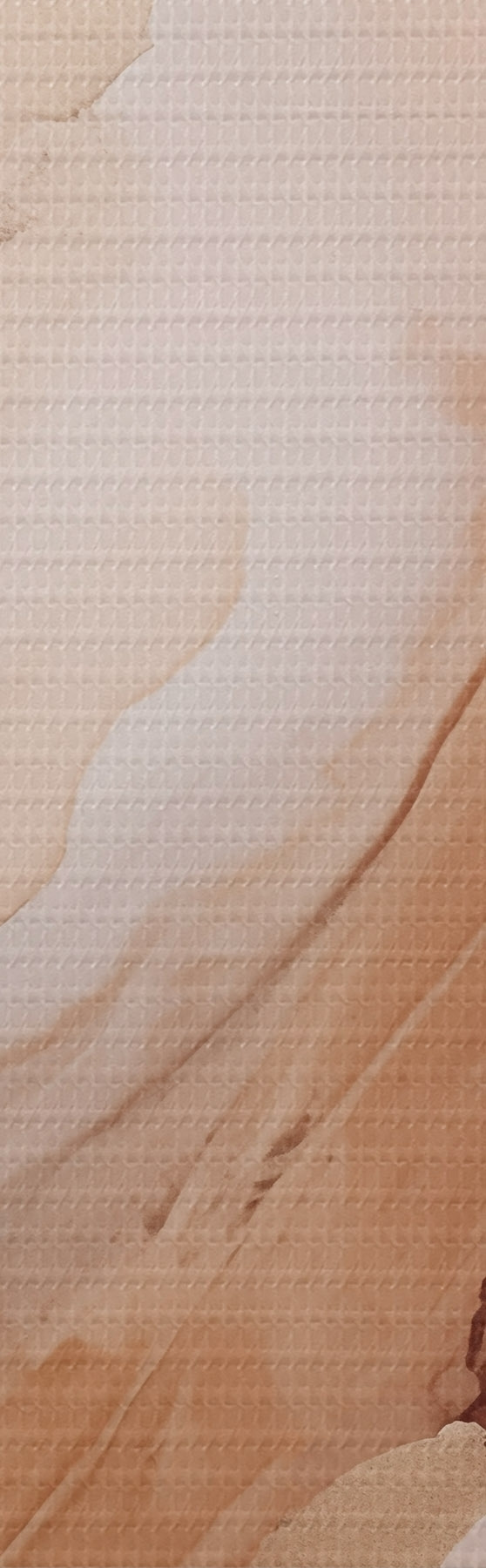 murales de pared Capas de nácar beige con textura fina s51084
