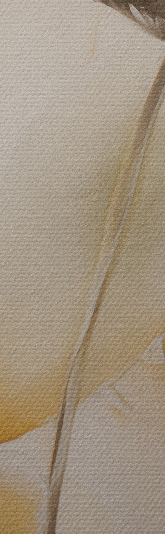 murales de pared Amapolas etéreas en tonos beige s51090