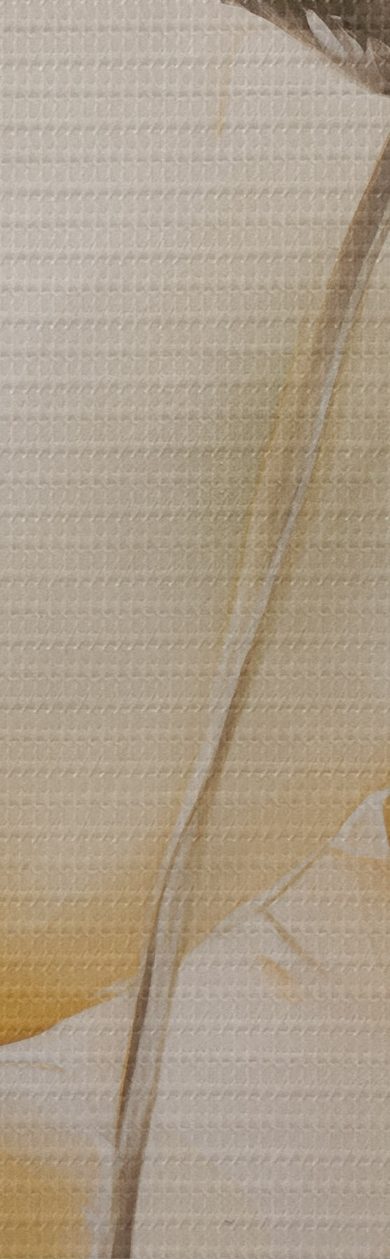 murales de pared Amapolas etéreas en tonos beige s51090