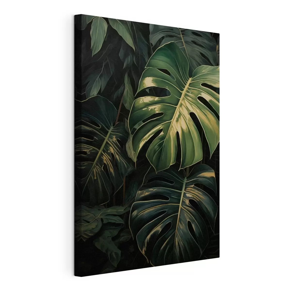 murales de pared Hojas brillantes de monstera en los trópicos oscuros s51091