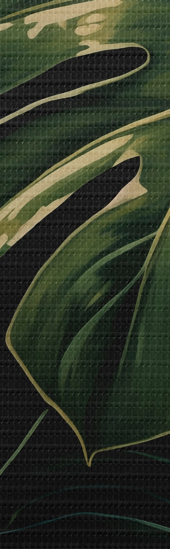 murales de pared Hojas brillantes de monstera en los trópicos oscuros s51091
