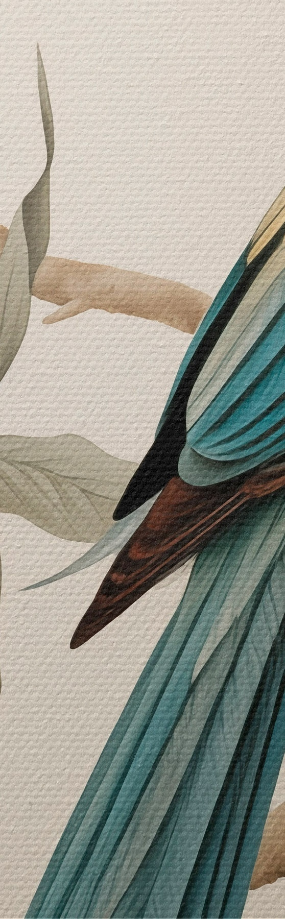 murales de pared Loro tropical en una rama en flor s51094