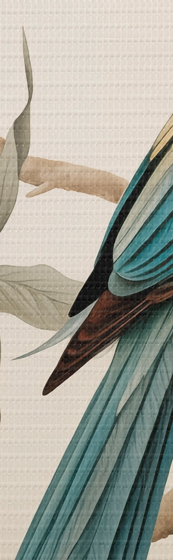 murales de pared Loro tropical en una rama en flor s51094