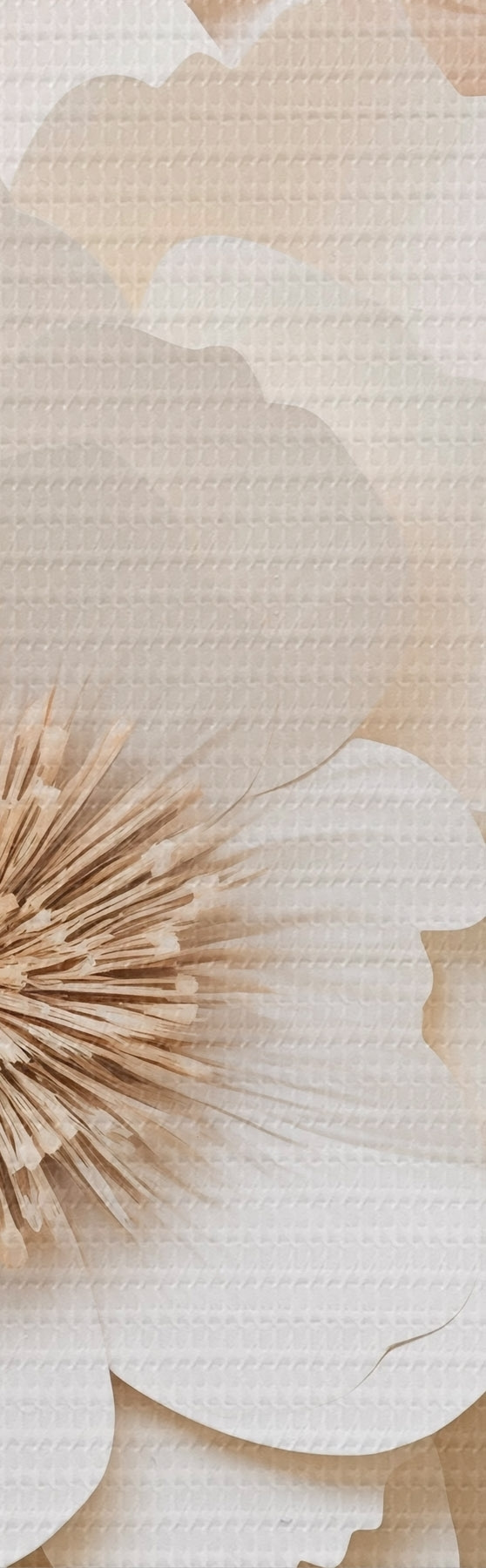 murales de pared Relieve en yeso en 3D con flores blancas s51096