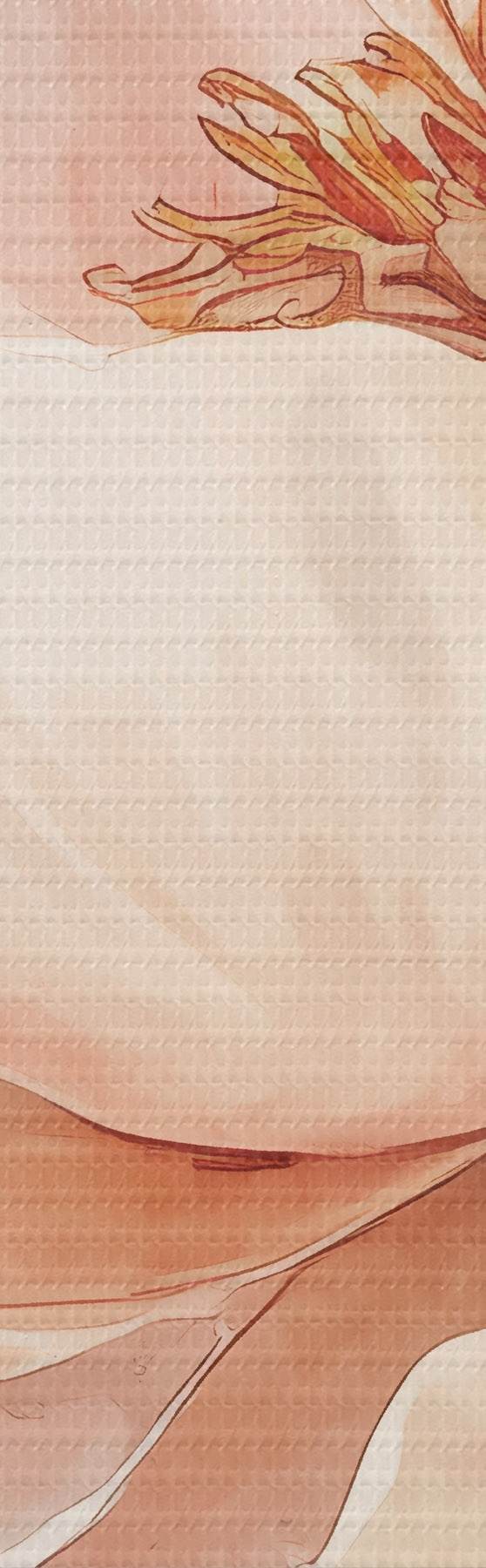 murales de pared Flor en acuarela rosa-beige s51098