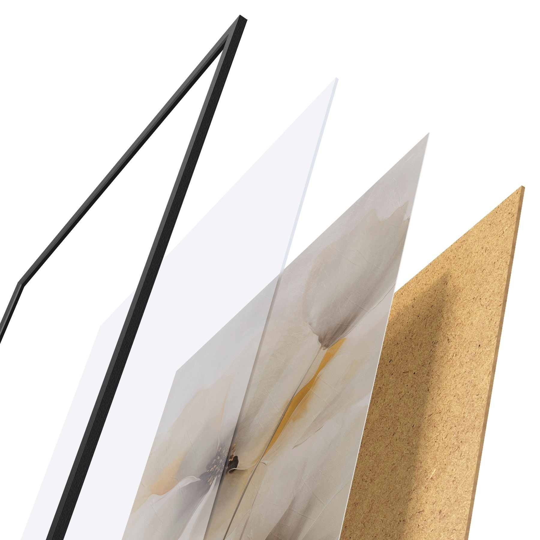 Poster Delicadas amapolas con tallos esbeltos f51089
