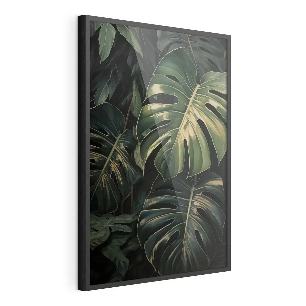 Poster Hojas brillantes de monstera en los trópicos oscuros f51091