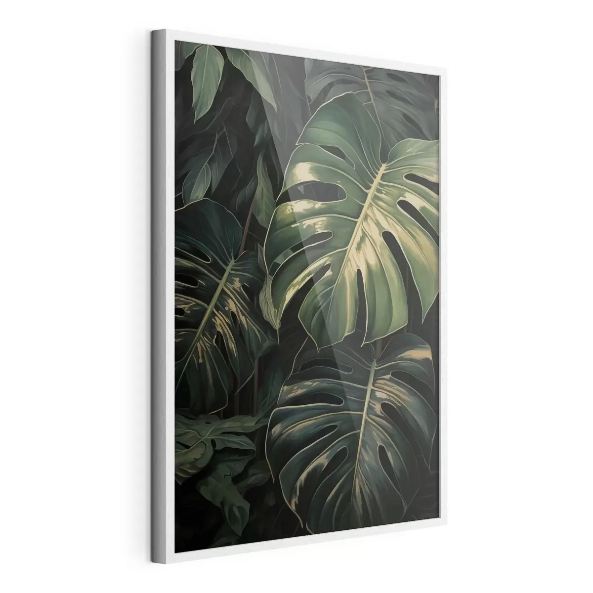 Poster Hojas brillantes de monstera en los trópicos oscuros f51091