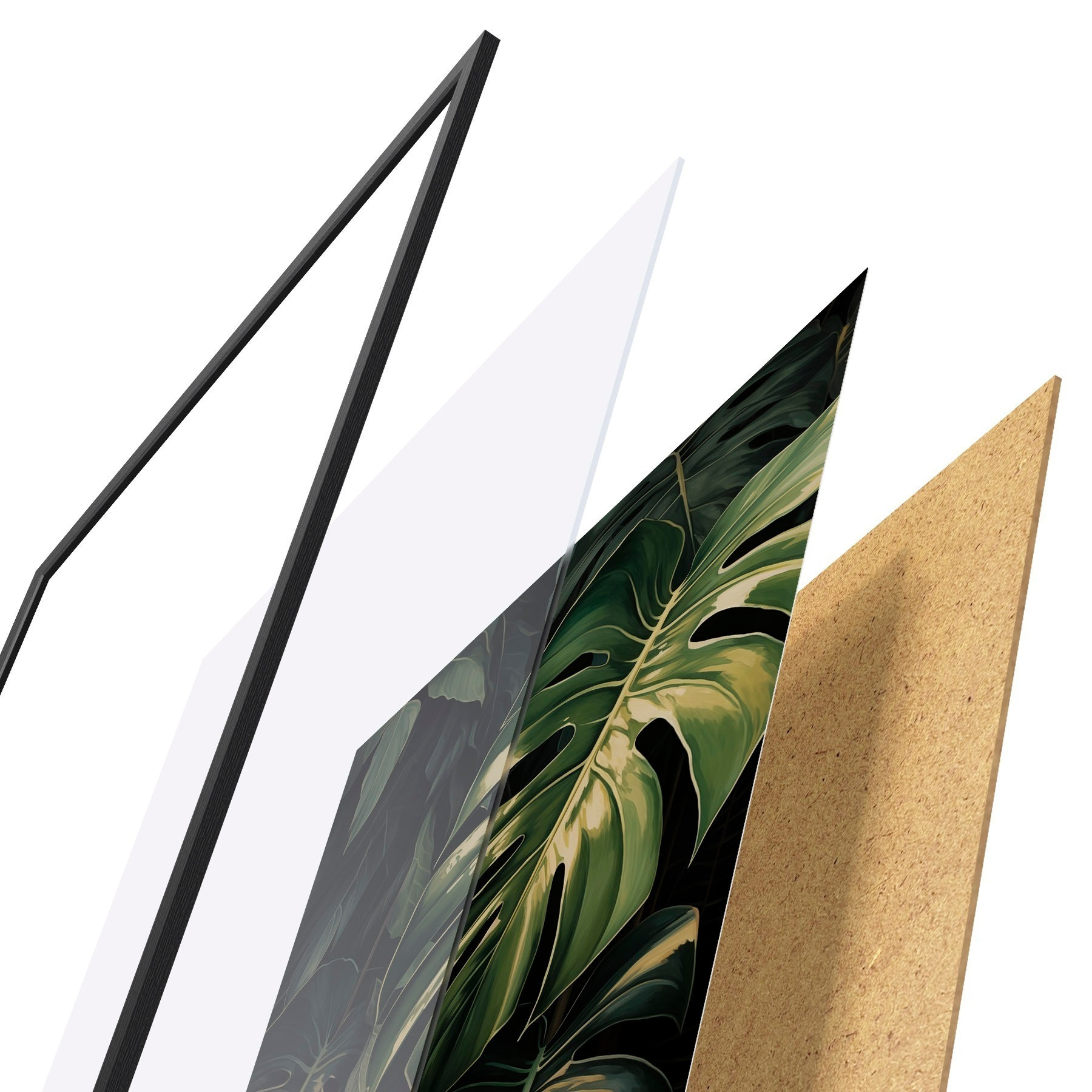 Poster Hojas brillantes de monstera en los trópicos oscuros f51091