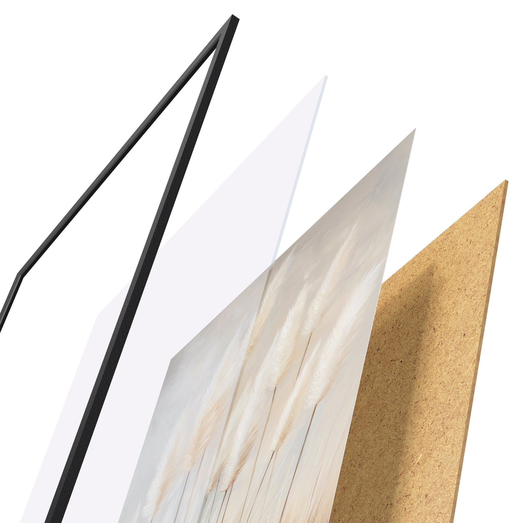 Poster Hierba de la pampa f51150