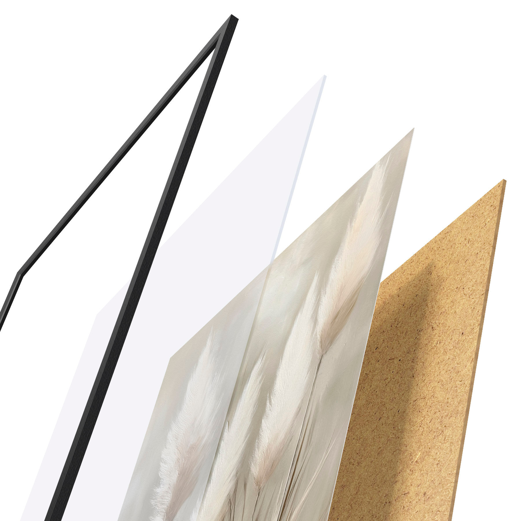 Poster Hierba de la pampa f51151