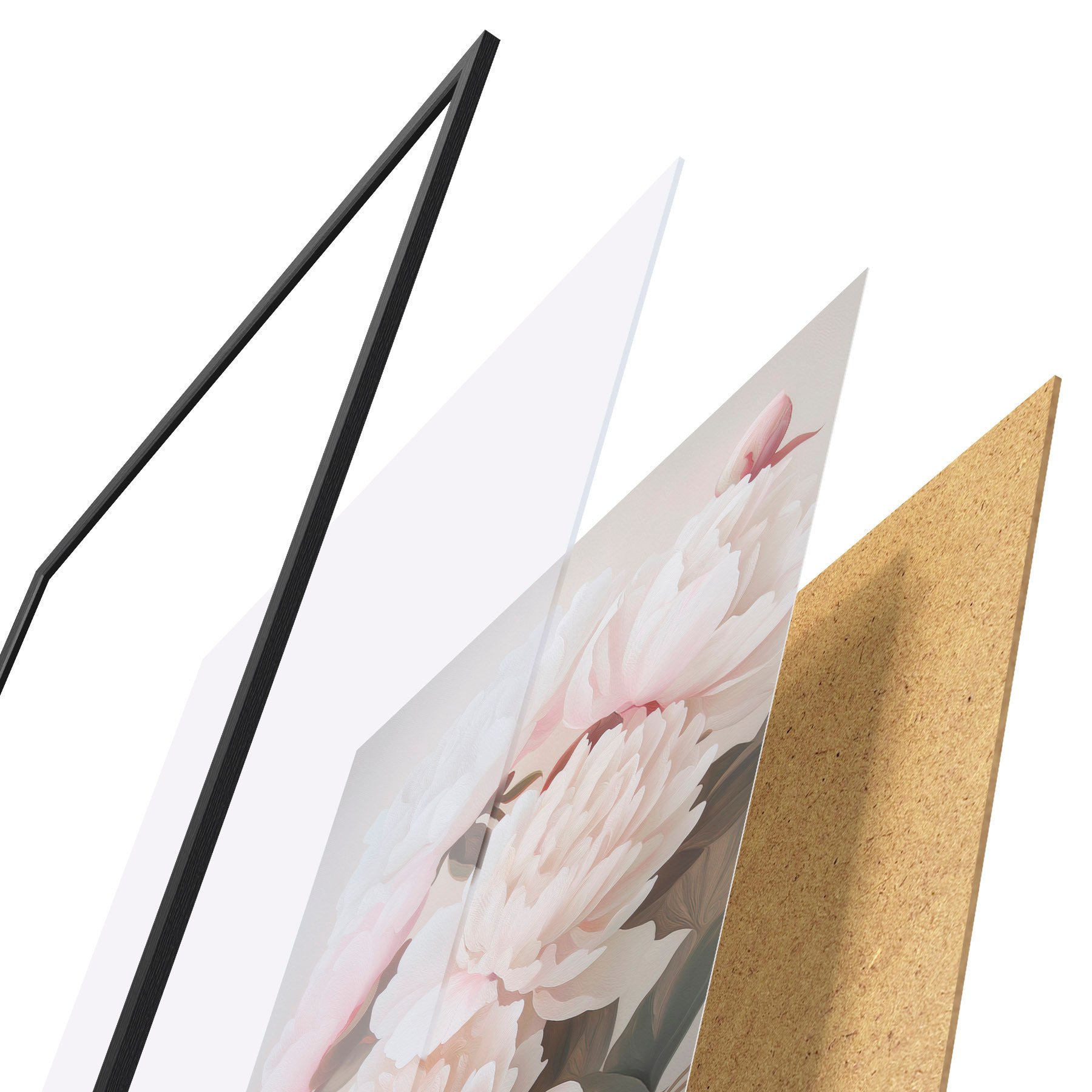 Poster Peonías f51153