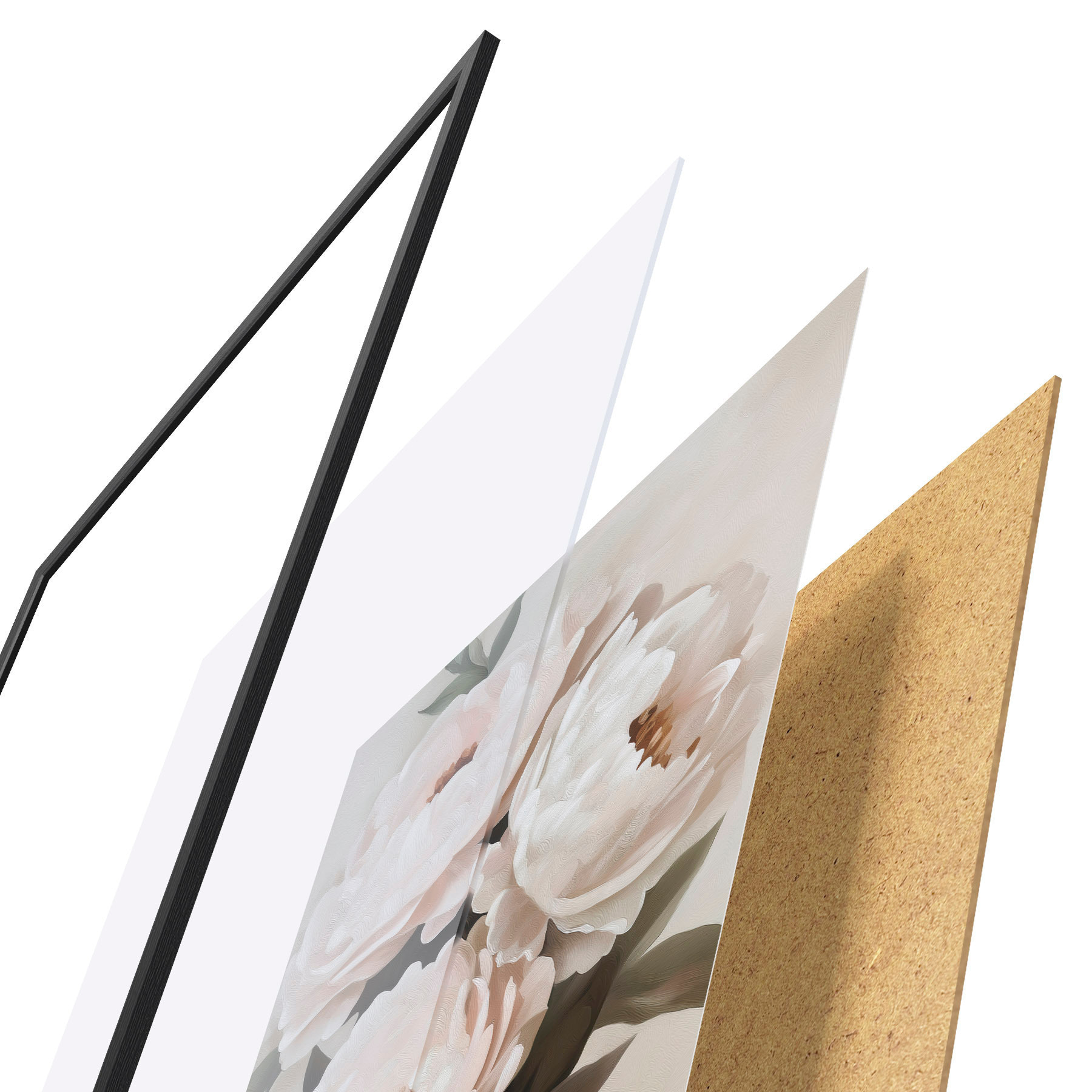 Poster Peonías f51154