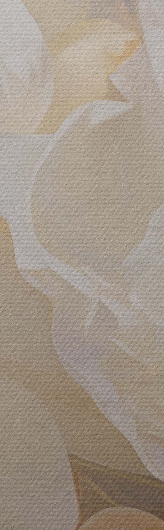 murales de pared Primer plano de peonías dobles claras s51088